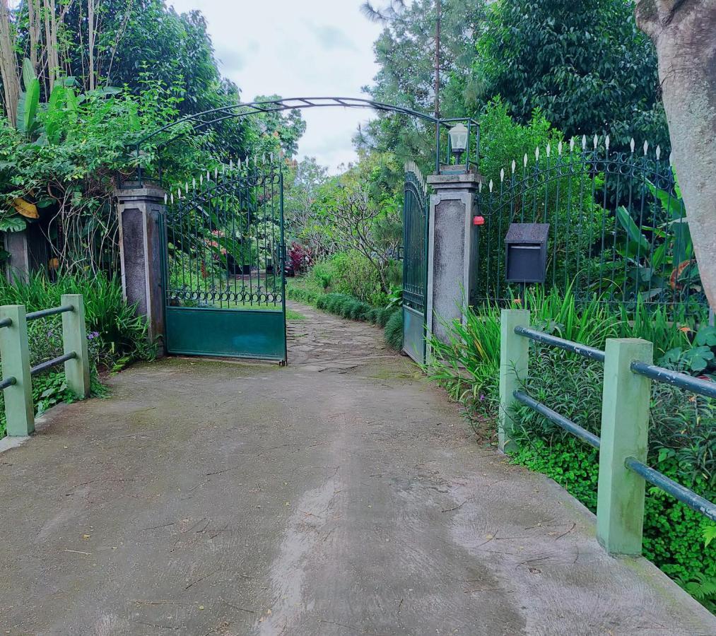 Rumah Sawah Couette-café Ngabean