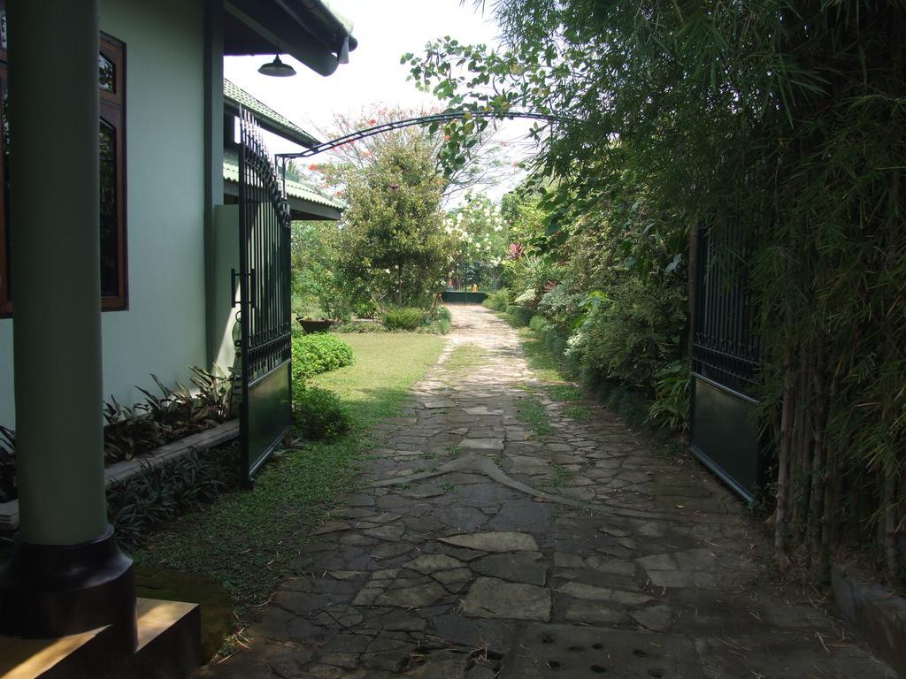 Couette-café Rumah Sawah Ngabean