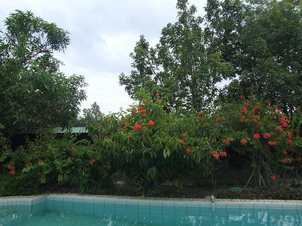 Couette-café Rumah Sawah 2*