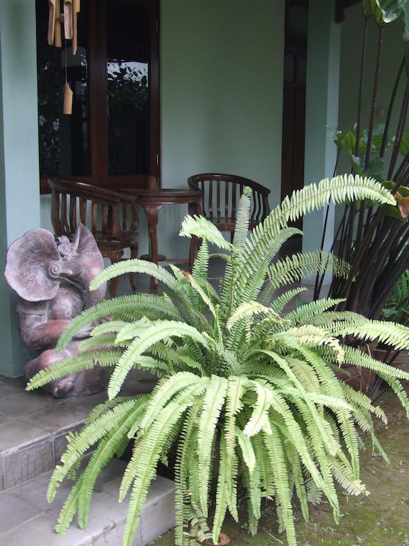 Couette-café Rumah Sawah 2*