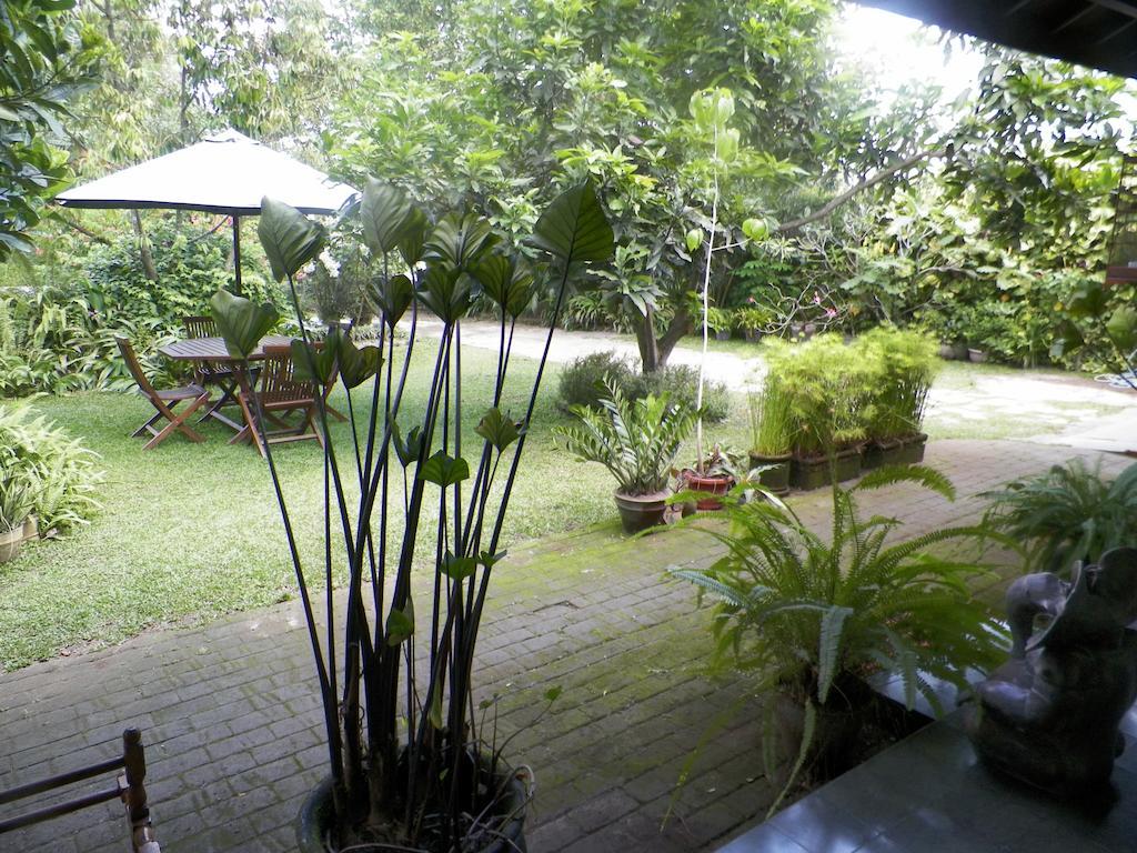 Rumah Sawah 2*